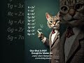 One-Shot Is NOT Enough for Maths Boards ❌ #acc6to12