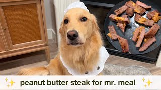 Cooking Oatmeal a steak for dinner because he's the goodest boy (not because it was old, of course)