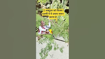 2 अक्टूबर को विजय दशमी पे ये उपाय जरूर करना है #pradeepmishrajidhankeupay #upay #shorts #live