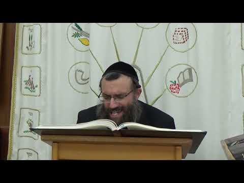 כוונות חג סוכות למתחילים | ביאור כוונות הלולב בברכה ובהלל חלק ב | הרב אריאל סיבוני