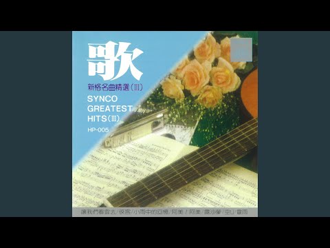 木棉道 (SILK COTTON AVENUE)