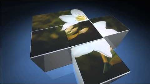 ZARASTUDIO - Created using Flixpress.com