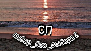 #сп_выбор_без_выбора2 День 7