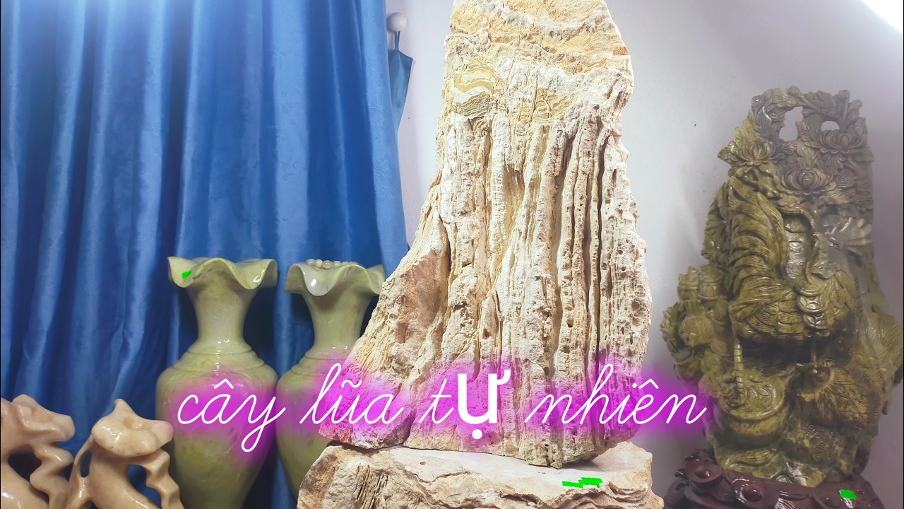 Cây đá lũa tự nhiên và nhiều mẫu đá g.ía xưởng
