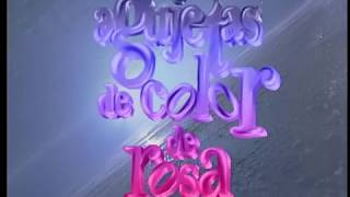 Agujetas De Color De Rosa - Resumen