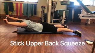Prone Stick Lat Pull Down