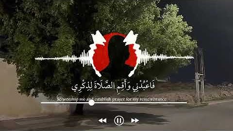 "مع هدوء الليل 😴💚"                      سورة طه «وأنا اخترتك فاستمع لما يوحى» #قرآن  #القرآن_الكريم