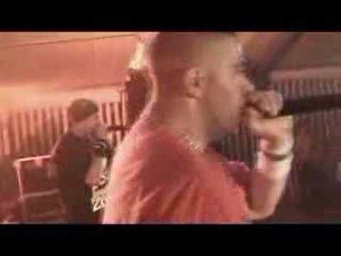 Jurassik zoo - ambiance d'asile