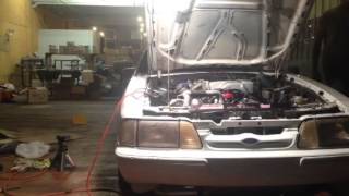 IMG 0331 MOV