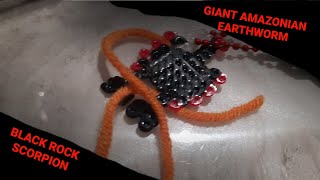 The little poisonous arachnid vs the giant worm