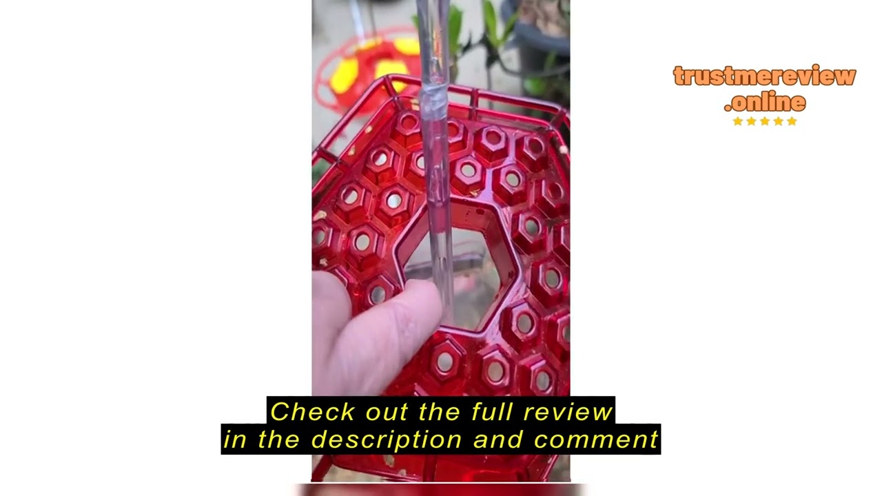 Review 2024 Shirem Hummingbird Feeder, Shirem Sweety Hummingbird Feeder, Ant and Bee Proof, Hummingb