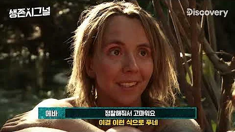 생존 시그널 무삭