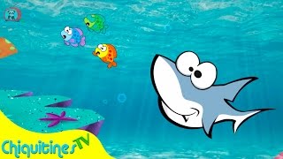 Un tiburón - Canción Infantil - Bebé Tiburón chords