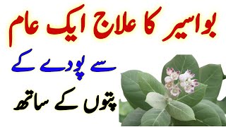 Bwasir Ka Desi Ilajh | Bwaser Ka ilajh Ak Podhy Ka Pathon Ka Sath By Abbas Health.