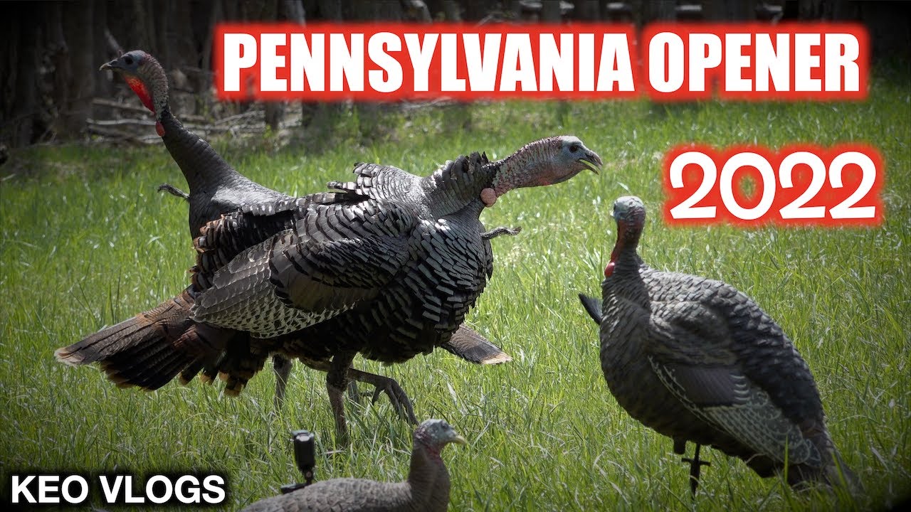 Pennsylvania Turkey Opener 2022