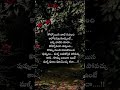 💔 Heart Touching Telugu Quotes | Life Reality Status