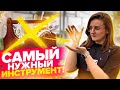 КАК ТЕМПЕРАТУРА ВЛИЯЕТ НА РАСТЕНИЯ