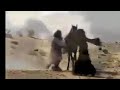 الله يا عالي طلبتك جيب غالي الشعر مع الاغنية روعة 