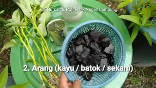 Panduan cara membuat Budikdamber