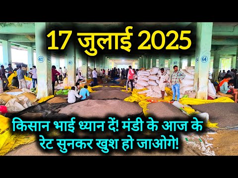 17 जुलाई 2025 को नीमच मंडी में आने वाली औषधीय फसलों का भाव | price of all medicinal crop