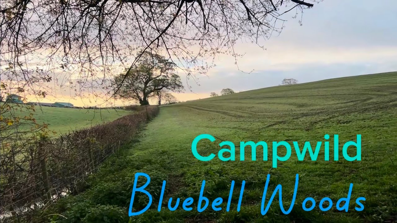 First Camp with CampWild at Bluebell Woods, Shropshire | Wild Camping with My Daughter