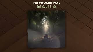 KSHMR, Munawar Faruqui - Maula [Official Instrumental Mix]