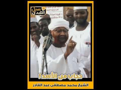 حجاب من الأسد الشيخ محمد مصطفى عبدالقادر اكسبلور 