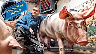 видео: ‼️180 тысяч чистой прибыли в месяц‼️ На откорме свиней это легко‼️ картинка: ‼️180 тысяч чистой прибыли в месяц‼️ На откорме свиней это легко‼️