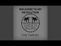 Welcome To My Revolution (Original Mix)