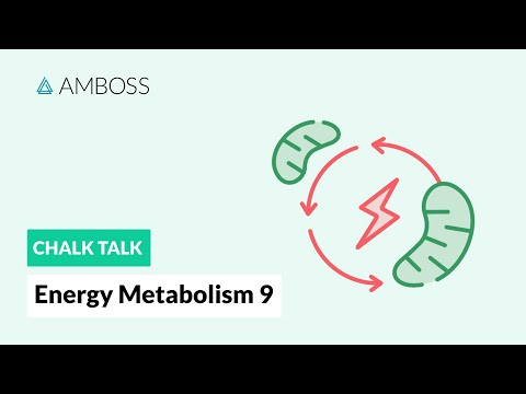 Energy Metabolism - Part 9: The Cori Cycle