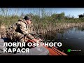 Ловля озёрного карася | Рыбалка Sibactive