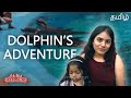 Dolphins adventures  las vegas  rekha dinesh vlogs  usa tamil vlog