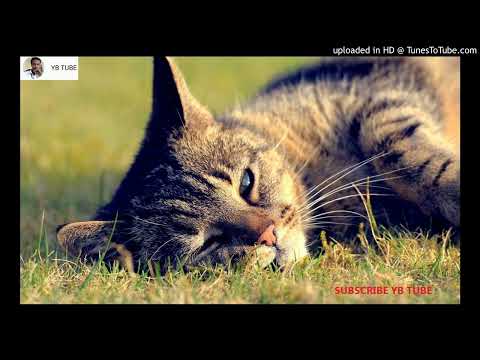 አክሊሉ ስዩም ቆየት ያሉ የትዝታ ሚዚቃ