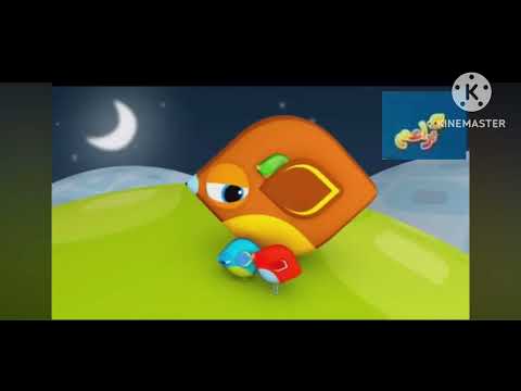 Baraem Live 2009 2010 Collection 