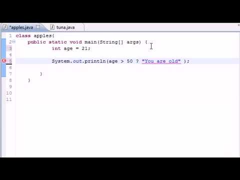 Java beginner Tutorial 20 - Conditional Operators