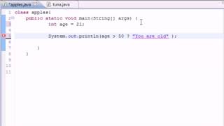 Java beginner Tutorial 20 - Conditional Operators