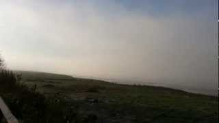 Sharpness Docks - Out of the fog
