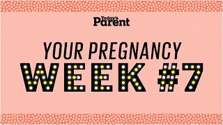 Your pregnancy: 7 weeks Resimi