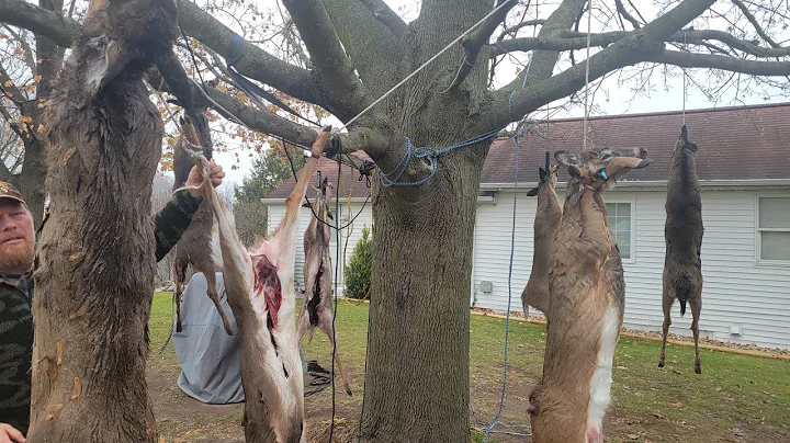 Deer camp 2025 northern Michigan!