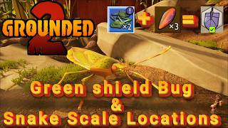 How to unlock TIER 3 SHOVEL - Grounded 2