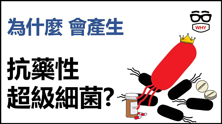 為什麼會產生抗藥性超級細菌? 你正在製造超級細菌嗎?|WHY WHITE 壞壞科普小教室 - 天天要聞