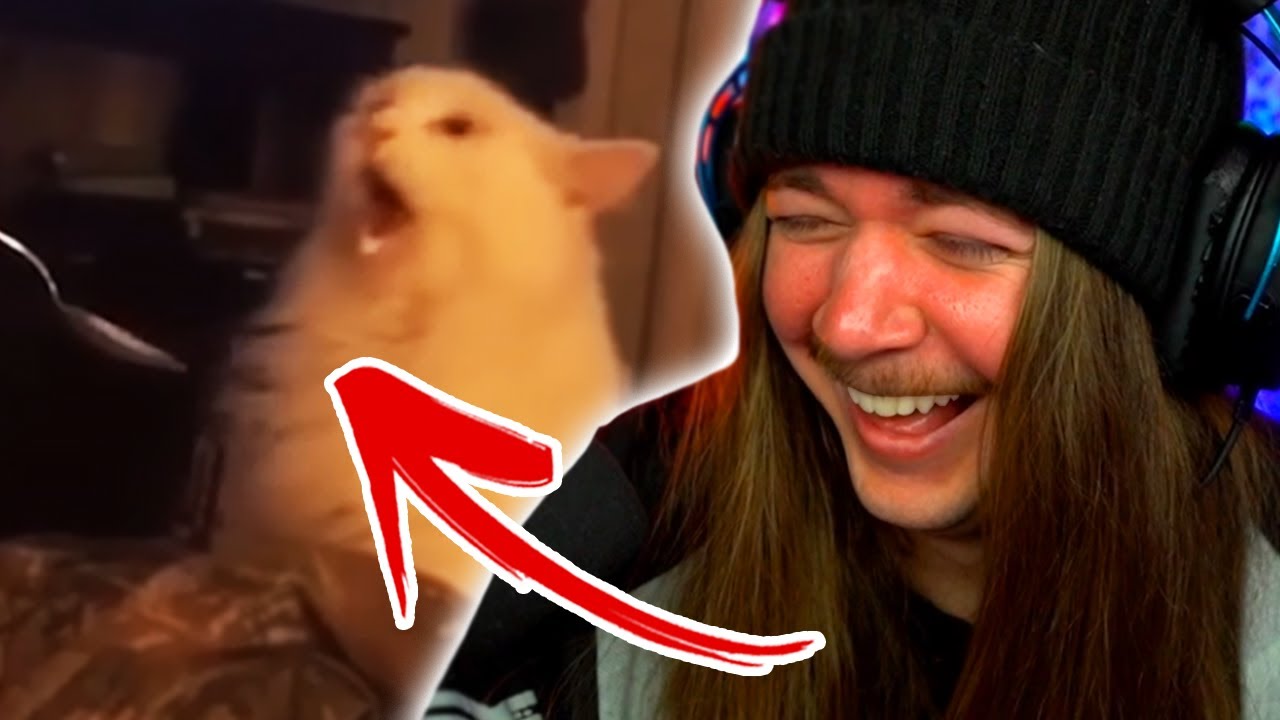 Jimmy Here Can't Get ENOUGH Of This Daily Dose Of Internet