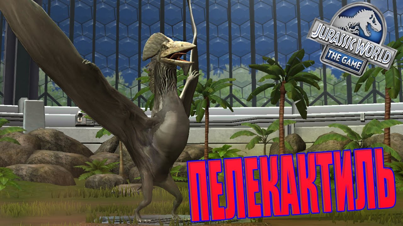 Джурасик ворлд пелекактиль. Джурасик видео. Jurassic world evolution хищники. Джурасик видео. Jurassic world evolution хищники.