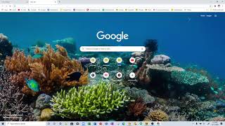 Browsing My Browsers | Travis Catle |🟥🟧🟨🟩🟦🟪🟫⬛⬜ | Google Chrome and Chrome Canary 👍 screenshot 3