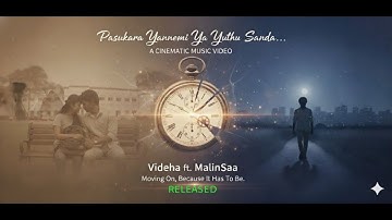 Pasukara Yannemi || පසුකර යන්නෙමි යා යුතු සන්දා - Videha ft. MalinSaa - 2012,2025