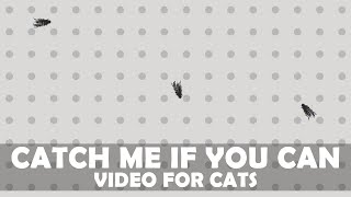 Catching a Fly 1 Hour Long - CAT GAMES - CATS PLAYGROUND