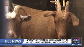 Jackson County Fairgrounds serving as animal shelter