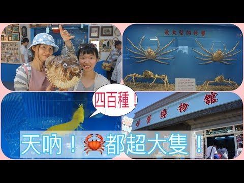 【旅遊Vlog #澎湖????????】超推薦！螃蟹博物館????????，來自世界各地的四百種螃蟹、蝦子展示！｜AnnMa與Iris TV