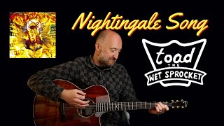 Vídeo de The Nightingale Song