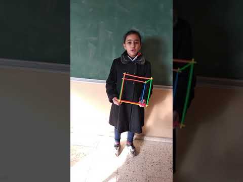 شبكة متوازي المستطيلات والمكعب